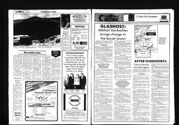 Castlegar News 1987-06-03, page 8
