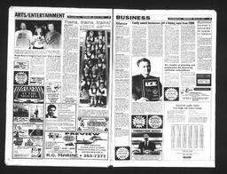   Castlegar Sun 1993-03-31   , page 8