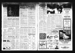 Castlegar News 1984-11-21, page 6