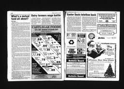 Castlegar News 1991-11-30, page 12