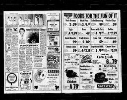 Castlegar News 1976-07-02, page 2