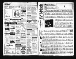 Castlegar News 1991-02-02, page 8