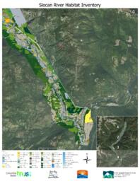 Slocan River Streamkeepers - Sensitive Ecosystem Inventory: Section 4