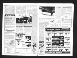   Castlegar Sun 1993-03-17   , page 11