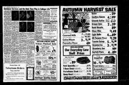 Castlegar News 1967-11-02, page 2