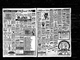 Castlegar News 1981-03-15, page 8