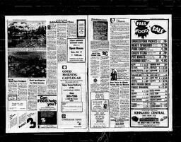 Castlegar News 1976-10-15, page 3