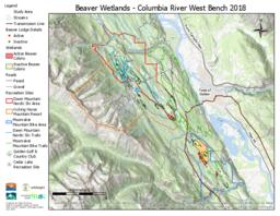 Wildsight Golden - Beaver Wetland Overview (without dams): Letter