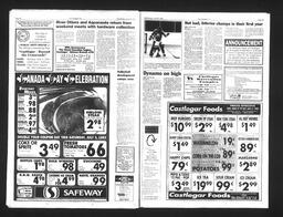   Castlegar Sun 1993-06-30   , page 5