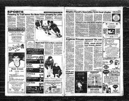   Castlegar Sun 1991-02-13   , page 5