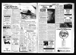 Castlegar News 1985-06-09, page 6