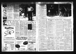 Castlegar News 1984-06-17, page 2