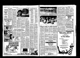 Castlegar News 1982-06-02, page 4