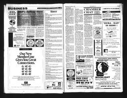   Castlegar Sun 1994-11-09   , page 8