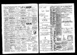   Rossland Evening Record 1898-04-23   , page 2