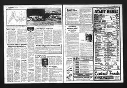 Castlegar News 1985-07-31, page 2