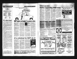   Castlegar Sun 1994-04-06   , page 4