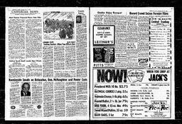 Castlegar News 1964-02-27, page 3