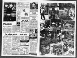 Castlegar News 1980-08-03, page 2
