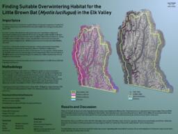 Finding Suitable Overwintering Habitat for the Little Brown Bat ( Myotis lucifugus ) in the Elk Valley