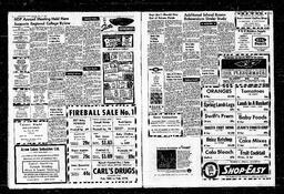 Castlegar News 1965-02-18, page 2