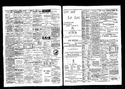   Rossland Evening Record 1898-05-05   , page 2