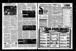 Castlegar News 1964-08-20, page 3
