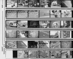 ARTS I Photo Reels (1)