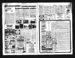   Castlegar Sun 1994-02-09   , page 10