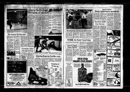 Castlegar News 1982-11-07, page 8