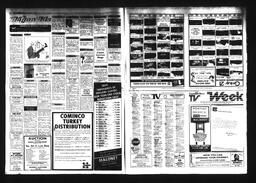 Castlegar News 1984-12-05, page 10