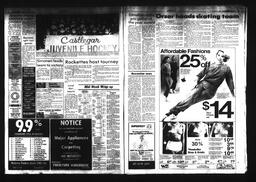Castlegar News 1984-02-01, page 6