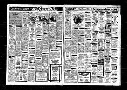 Castlegar News 1980-08-17, page 5