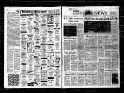 Castlegar News 1981-02-08, page 1