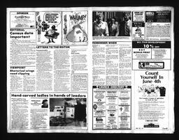 Castlegar News 1991-06-01, page 3