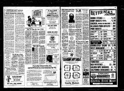 Castlegar News 1973-02-22, page 3