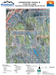 Rossland Streamkeepers - Cambridge Creek and Violin Lake - Satellite: Arch E 36" x 48"