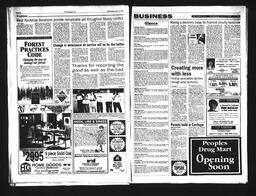   Castlegar Sun 1994-07-13   , page 5