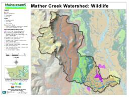 Mather Creek (Mainstreems) - Mather Creek Watershed: Wildlife Poster