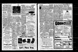 Castlegar News 1966-10-27, page 3