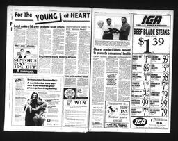   Castlegar Sun 1995-07-26   , page 10