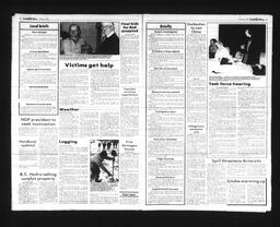 Castlegar News 1989-02-05, page 2