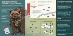 Wolverine Infographic