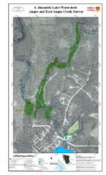 Jimsmith Lake Watershed (Jimsmith Lake Community Association) - Angus and East Angus Creek Survey