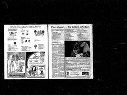 Castlegar News 1981-05-24, page 12