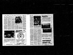 Castlegar News 1981-05-24, page 13