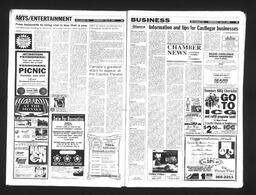   Castlegar Sun 1993-06-09   , page 8
