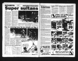   Castlegar Sun 1995-05-24   , page 5