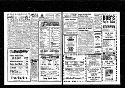 Castlegar News 1959-04-02, page 3