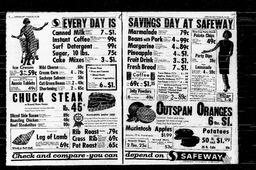 Castlegar News 1966-11-24, page 2
